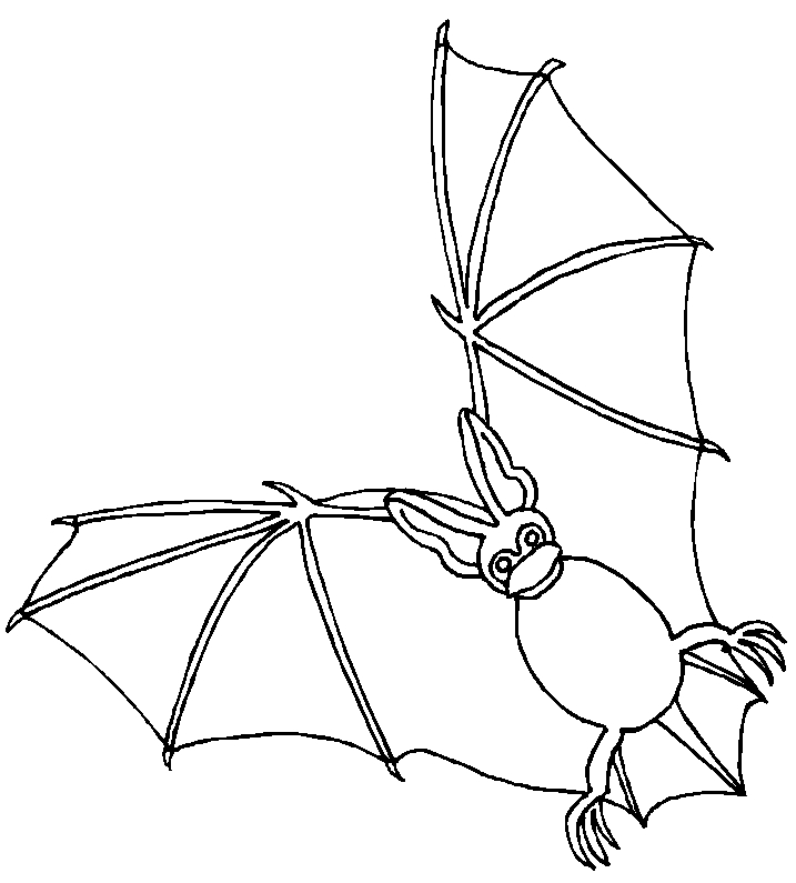 Un coloriage de chauve-souris dans un cadre nocturne Un coloriage de chauve-souris dans un cadre nocturne