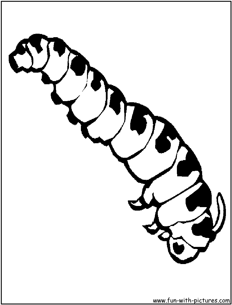 Coloriage d'une chenille colorée sur une feuille