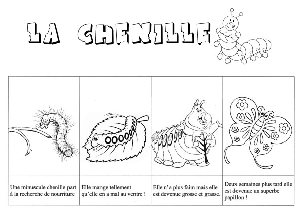Coloriage d'une chenille souriante sur une feuille verte
