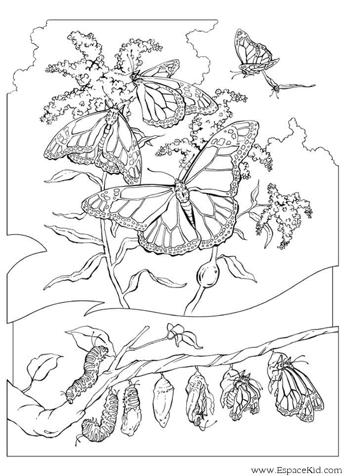Coloriage d'une chenille joyeuse sur une feuille