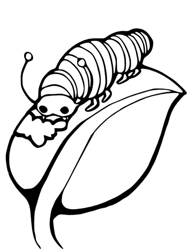 Coloriage d'une chenille souriante sur une feuille Coloriage d'une chenille souriante sur une feuille