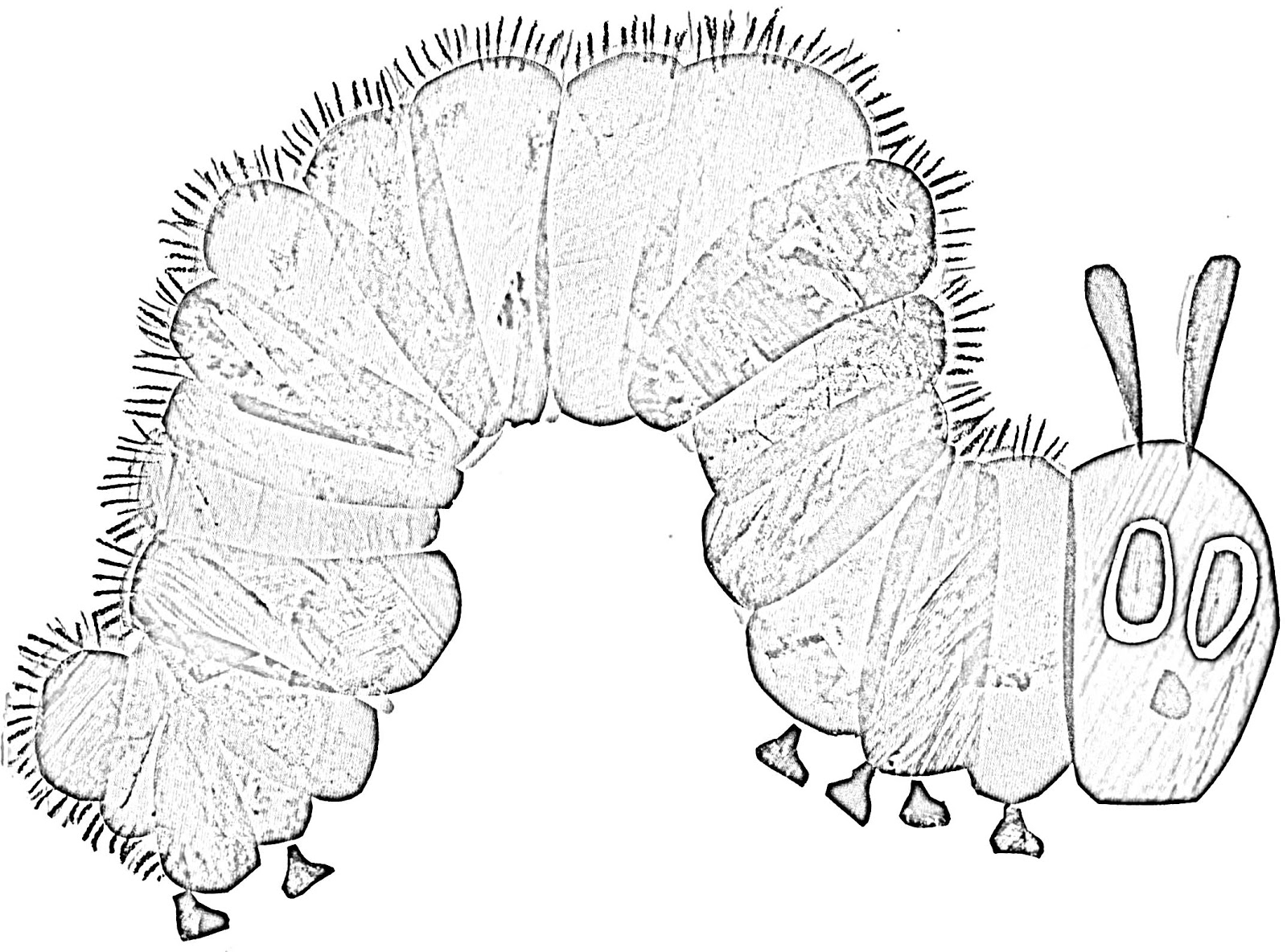 Chenille souriante se promenant sur une tige de plante
