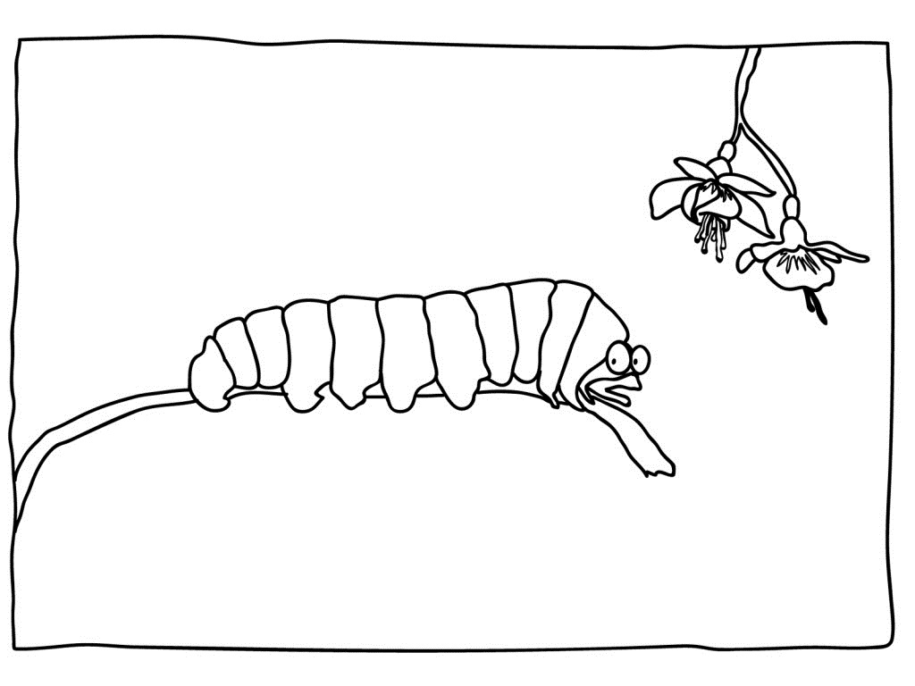 Coloriage d'une chenille sur une branche avec des feuilles