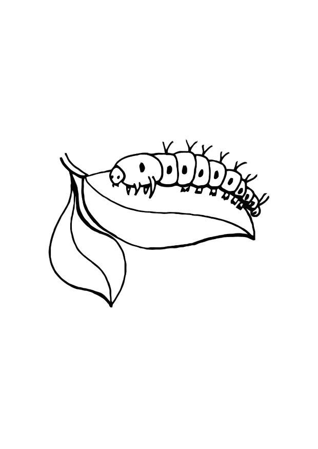 Coloriage d'une chenille joyeuse sur une feuille