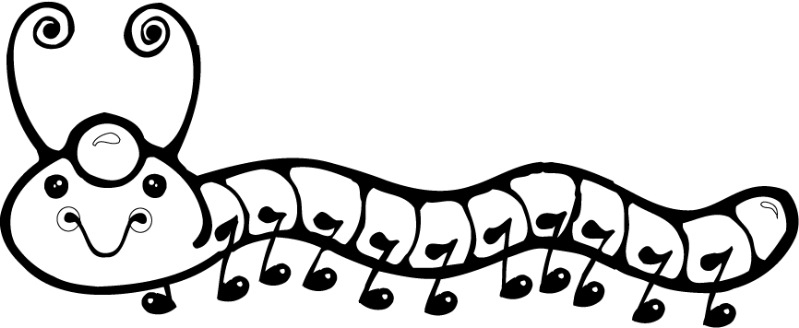 Coloriage d'une chenille sur une feuille avec des éléments naturels