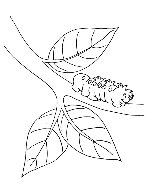 Un coloriage de chenille joyeuse entourée de feuilles