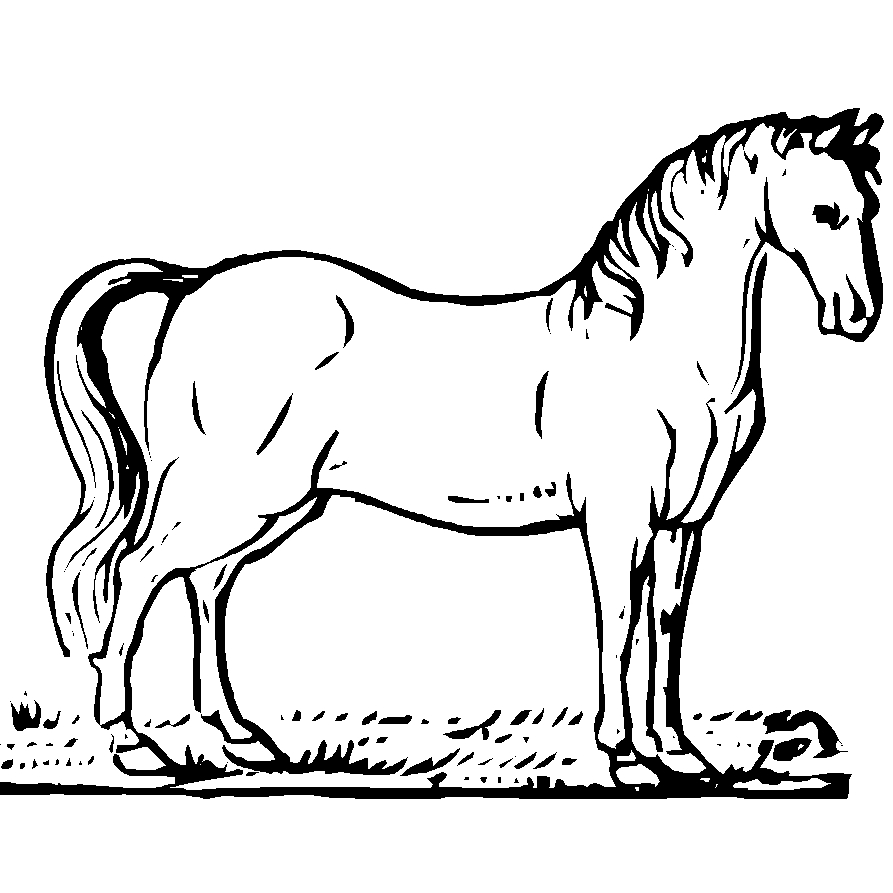 Un cheval majestueux trottant dans une prairie verdoyante