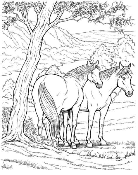 Un cheval galopant dans la nature