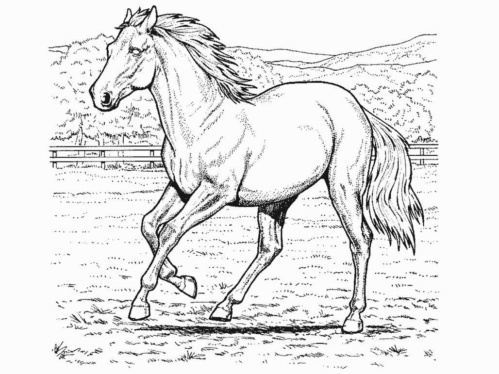 Un cheval majestueux galopant dans un paysage naturel