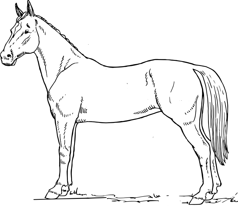 Un cheval majestueux galopant dans un champ verdoyant