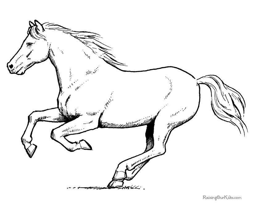Un cheval majestueux au galop dans un paysage naturel