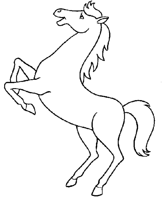 Cheval majestueux se tenant dans un paysage paisible