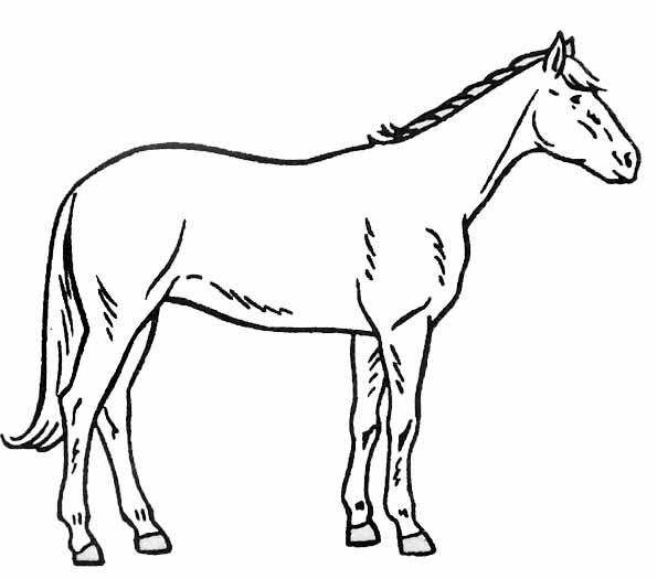 Un cheval majestueux galopant dans un champ paisible