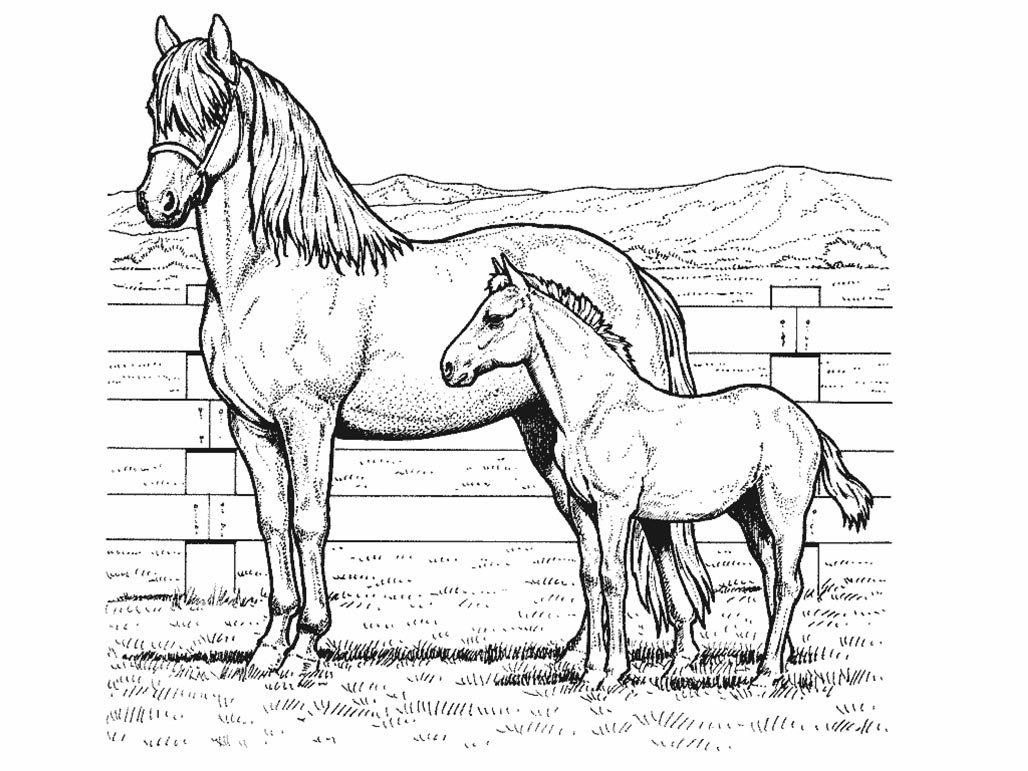Cheval en pleine course dans un paysage naturel