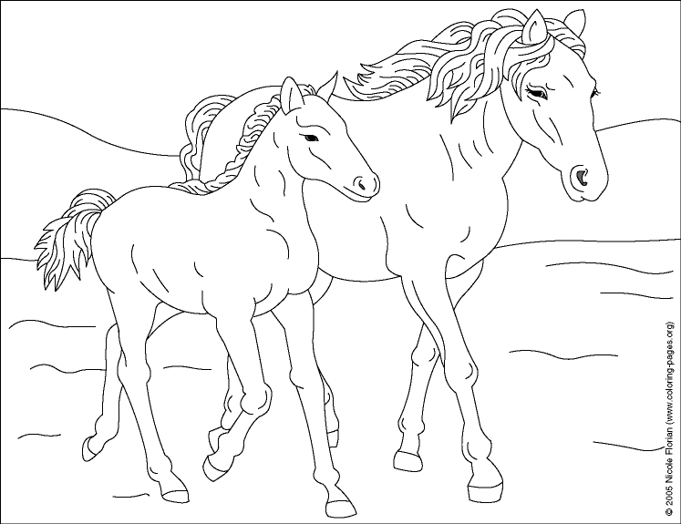 Cheval majestueux en pleine course dans un paysage naturel