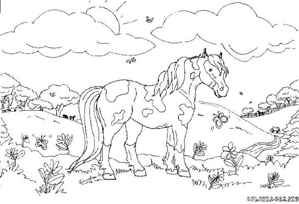 Un cheval galopant dans la nature