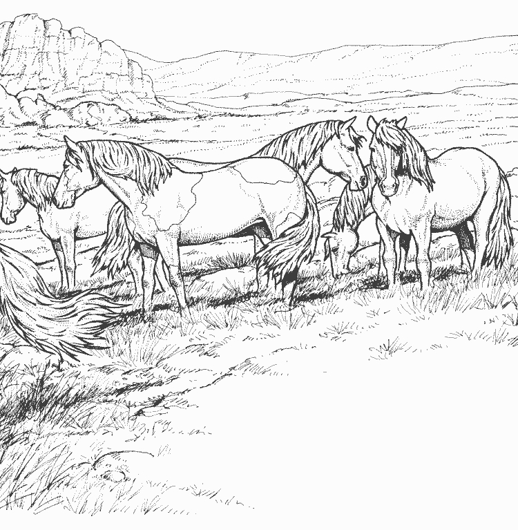 Cheval majestueux galopant dans un champ verdoyant