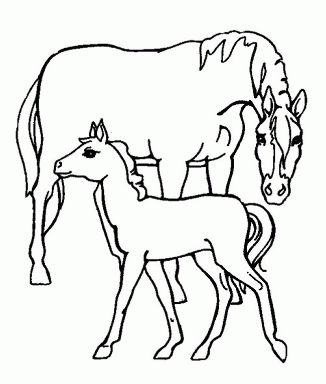 Cheval trottant dans un paysage naturel