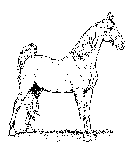 Un cheval majestueux galopant dans un paysage naturel