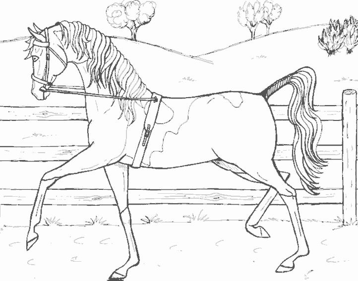 Un cheval majestueux se tenant dans un paysage naturel