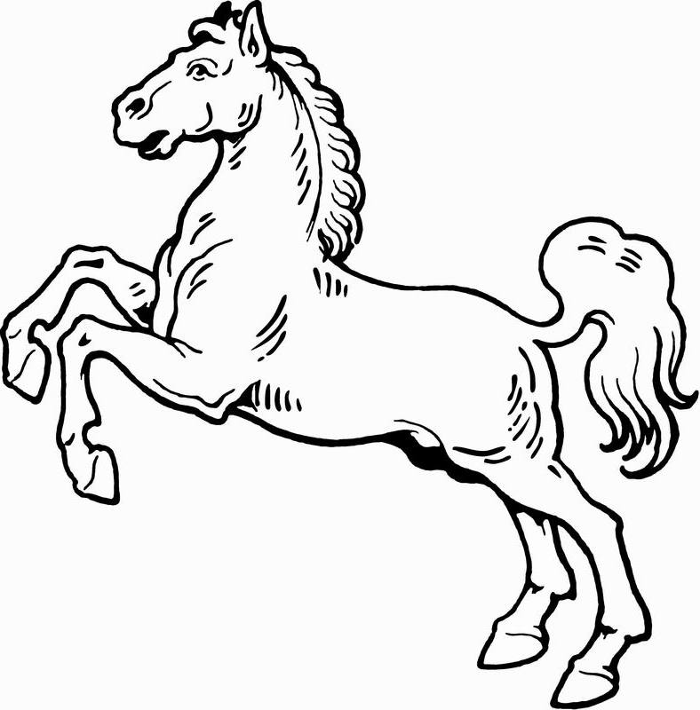 Cheval majestueux évoluant dans un paysage naturel
