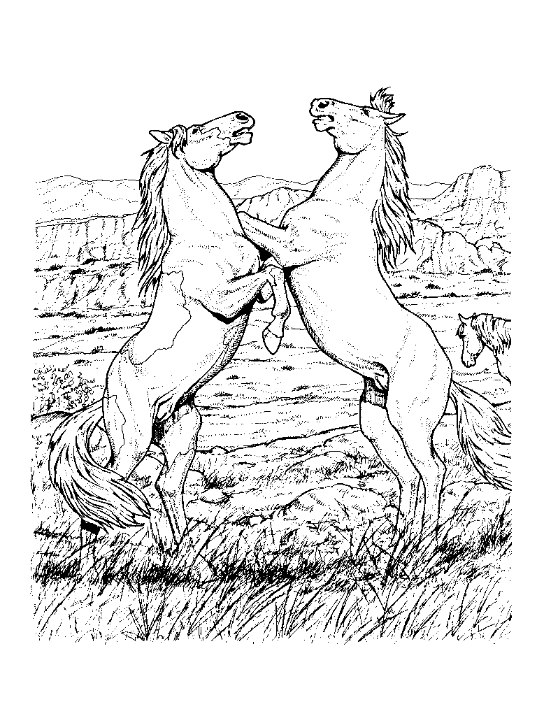 Cheval en pleine course dans un paysage naturel