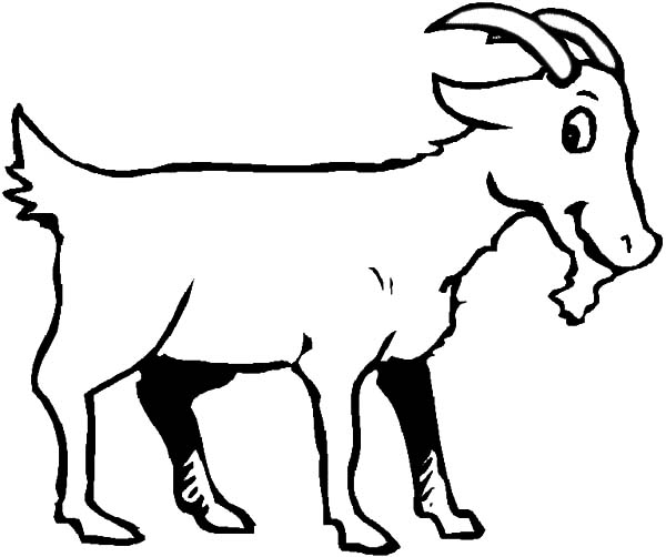 Coloriage d'une chèvre paisible dans un champ verdoyant