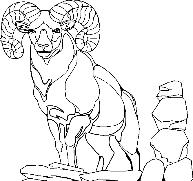 Coloriage d'une chèvre dans un environnement naturel