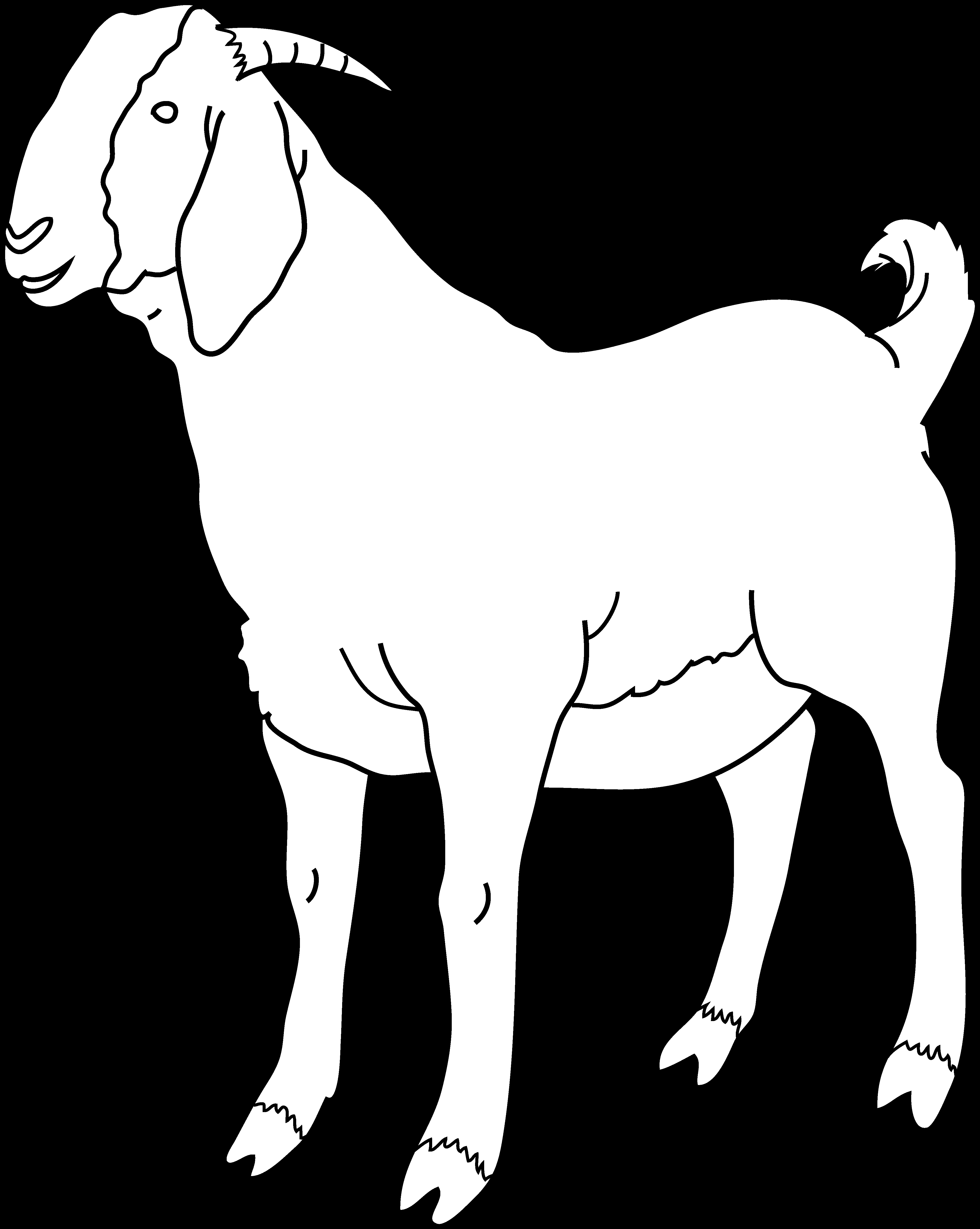 Un coloriage de chèvre dans un environnement pastoral