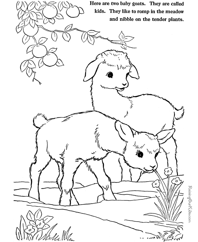 Un coloriage de chèvre paisible dans un environnement naturel