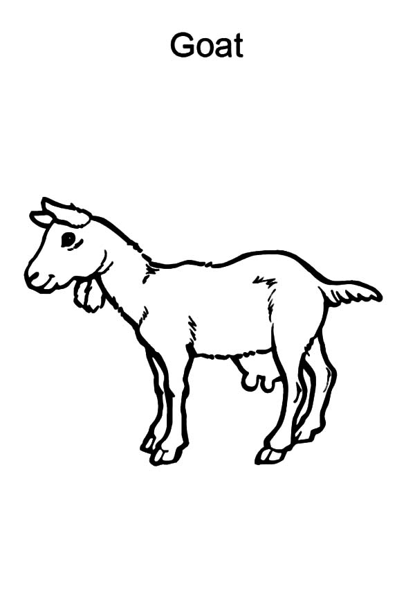 Coloriage d'une chèvre paisible dans un paysage rural