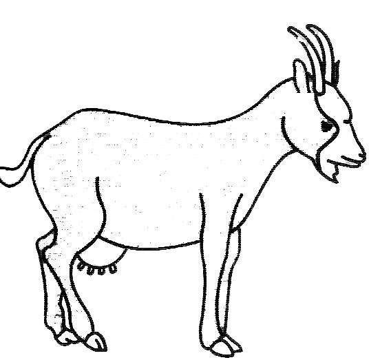 Coloriage d'une chèvre paisible dans un paysage pastoral