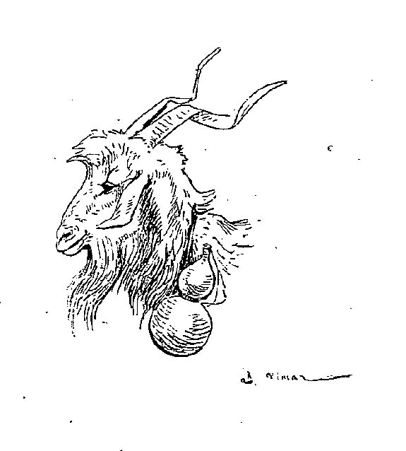 Coloriage d'une chèvre paisible sur un chemin rural