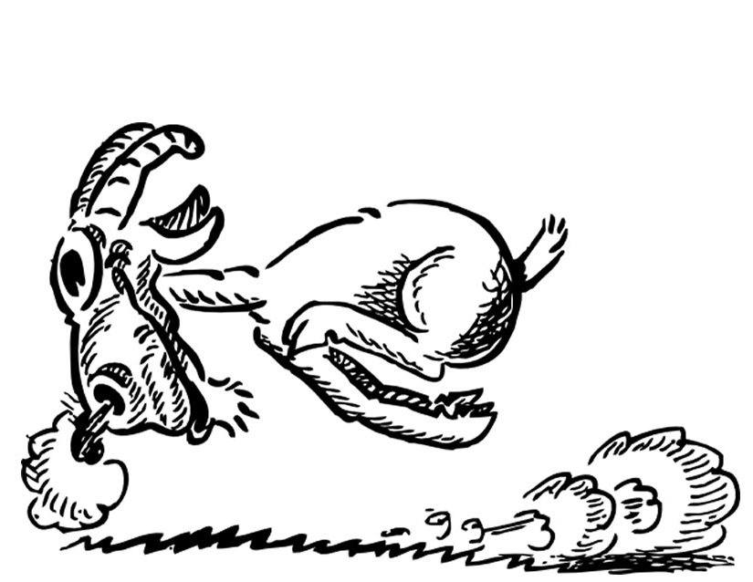 Un coloriage de chèvre dans un champ verdoyant