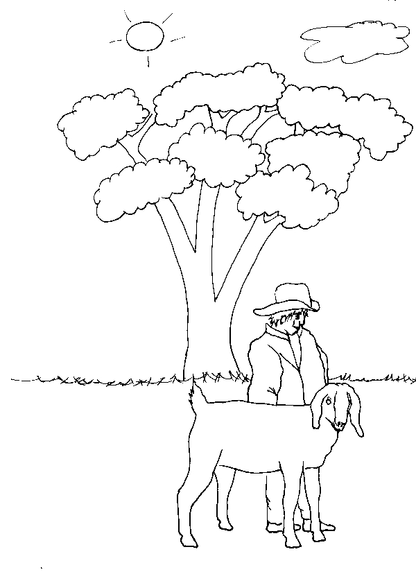Coloriage d'une chèvre paisiblement installée dans un champ