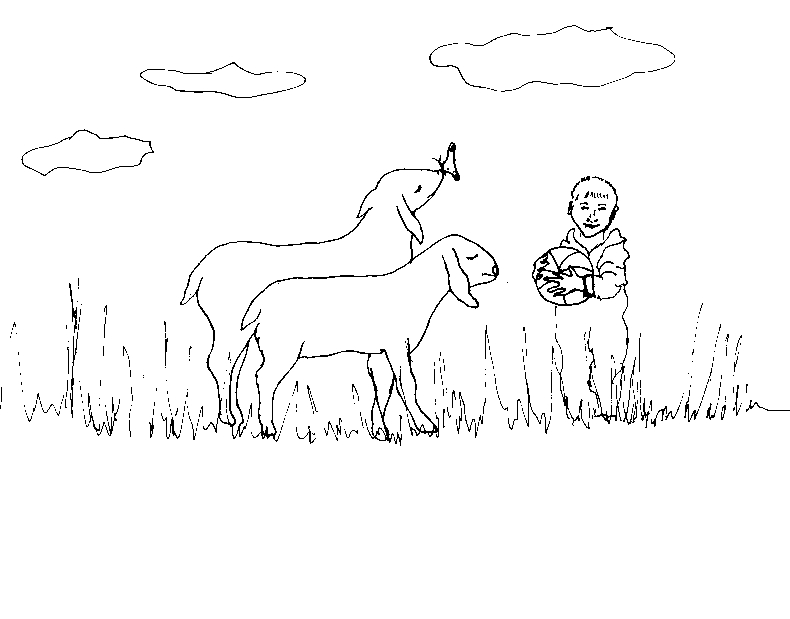 Coloriage d'une chèvre dans un paysage pastoral