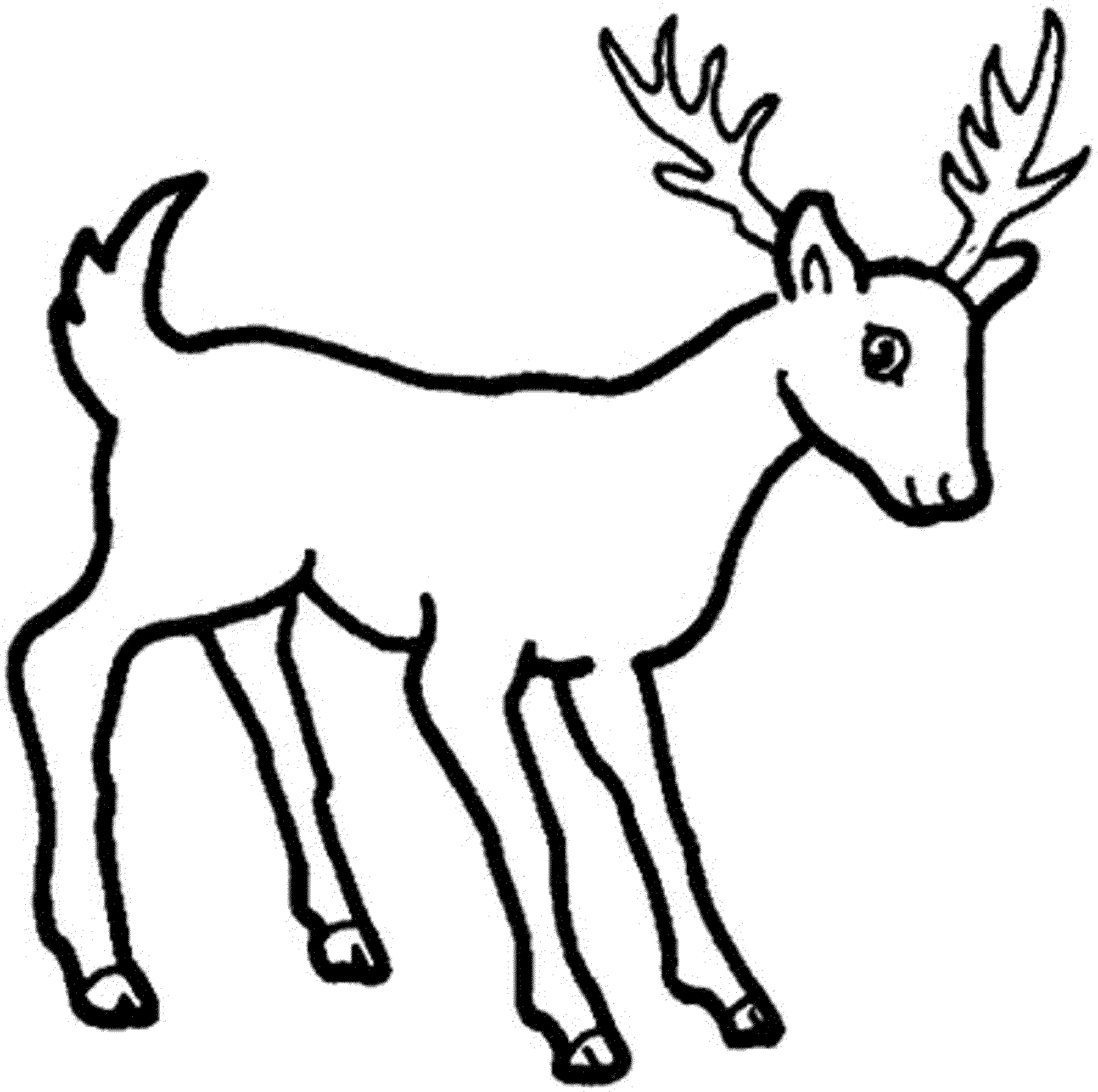 Coloriage d'un chevreuil dans son habitat naturel