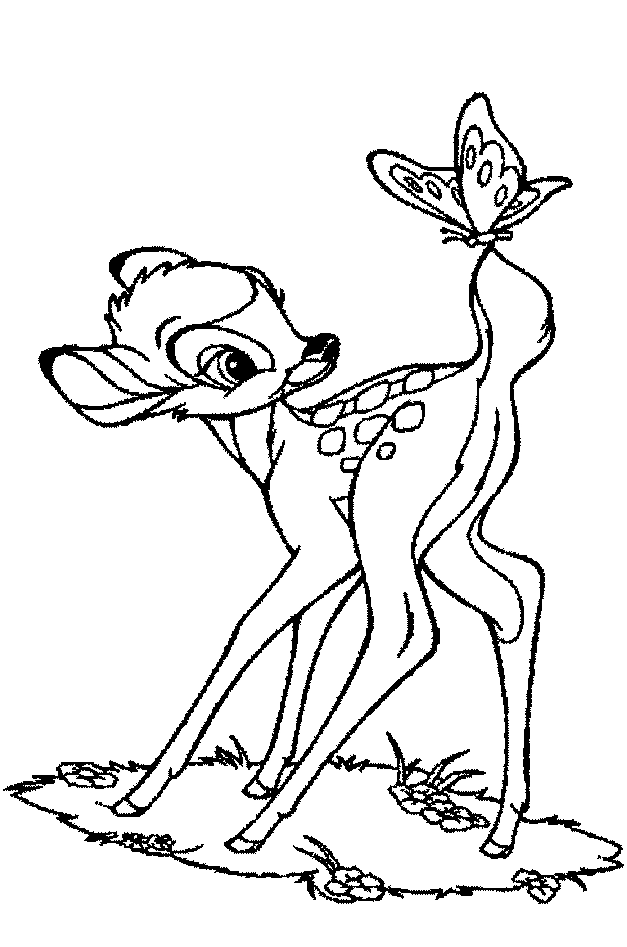 Coloriage d'un chevreuil se tenant dans la forêt