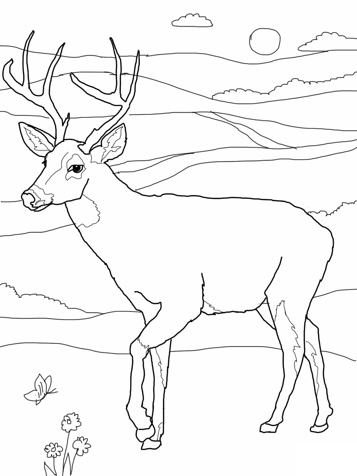 Coloriage d'un chevreuil paisible dans son habitat naturel