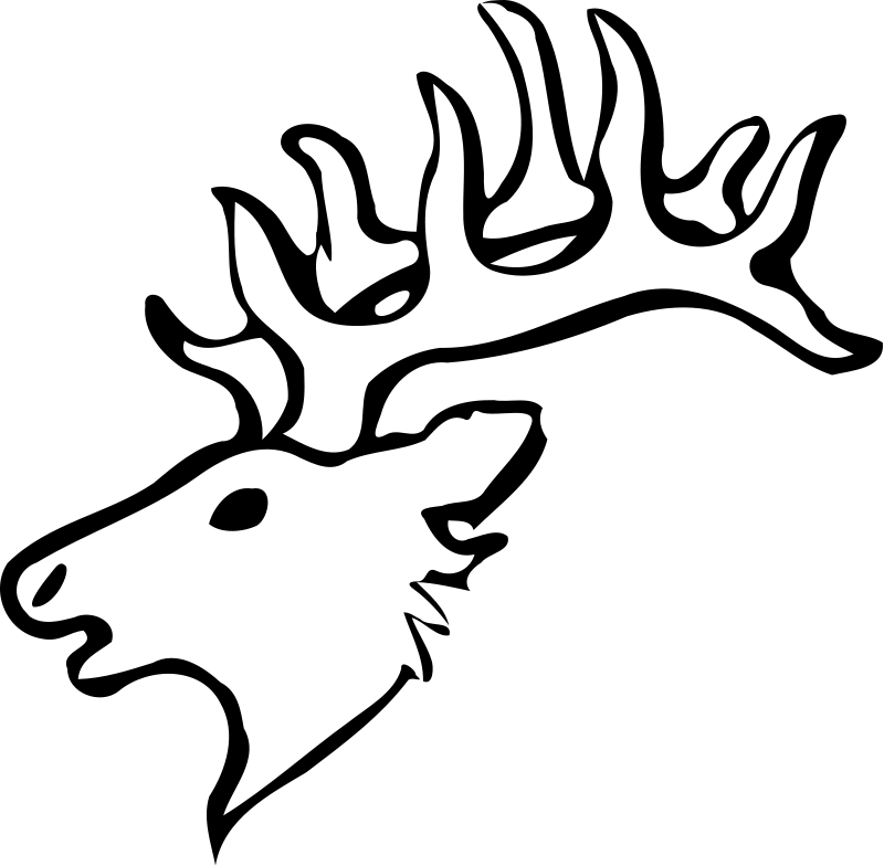 Coloriage d'un chevreuil dans un cadre naturel
