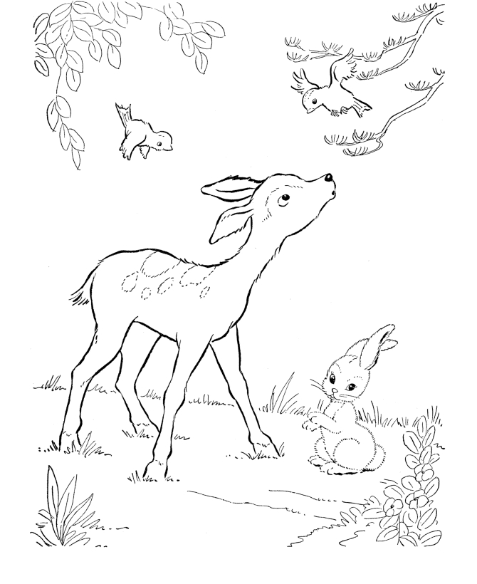 Coloriage d'un chevreuil dans son habitat naturel
