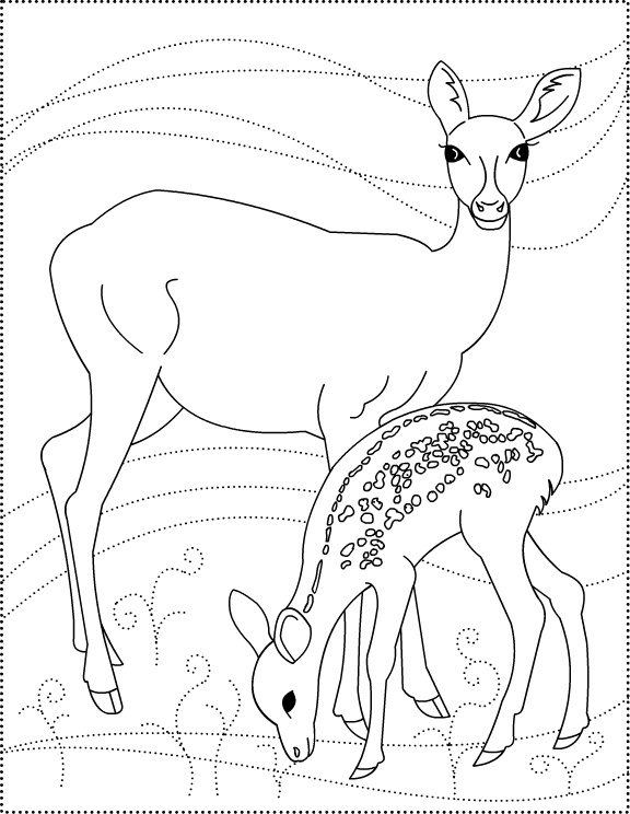 Coloriage d'un chevreuil paisible dans son habitat naturel