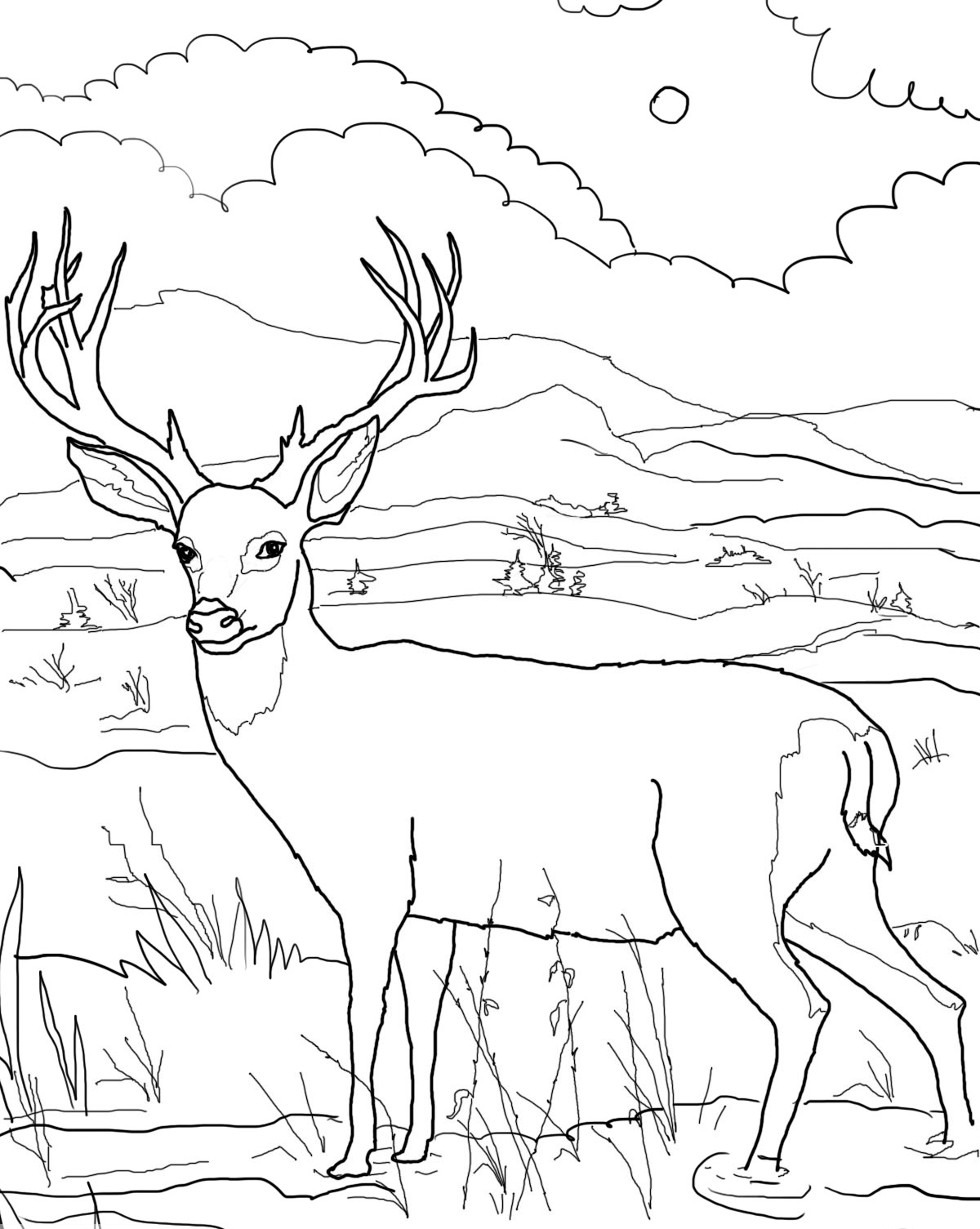 Coloriage d'un chevreuil dans un environnement naturel