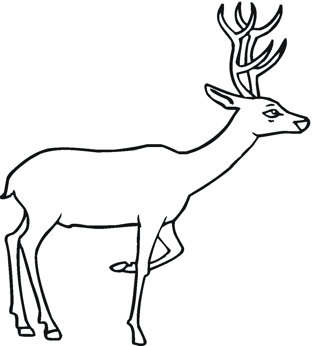 Coloriage d'un chevreuil dans une forêt paisible