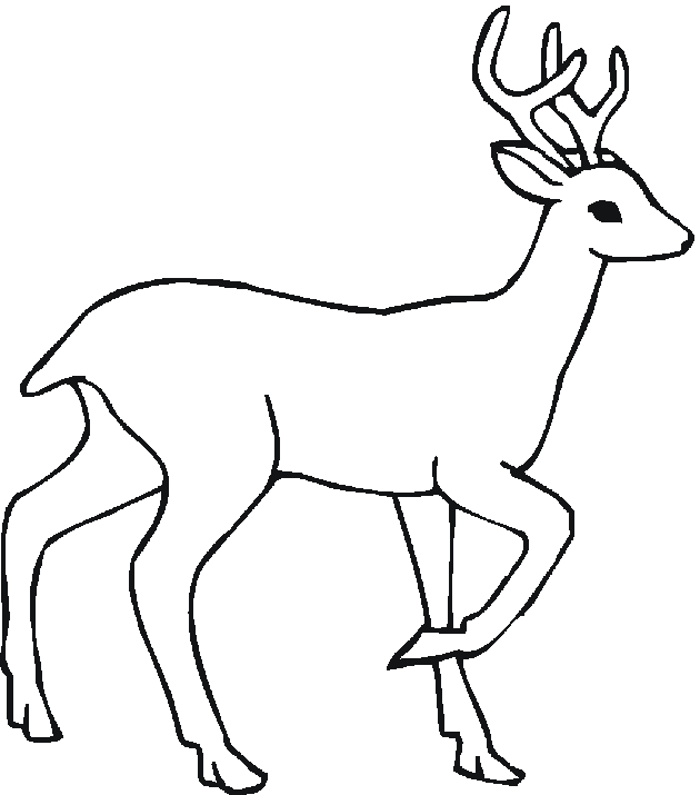 Coloriage d'un chevreuil paisible dans la forêt