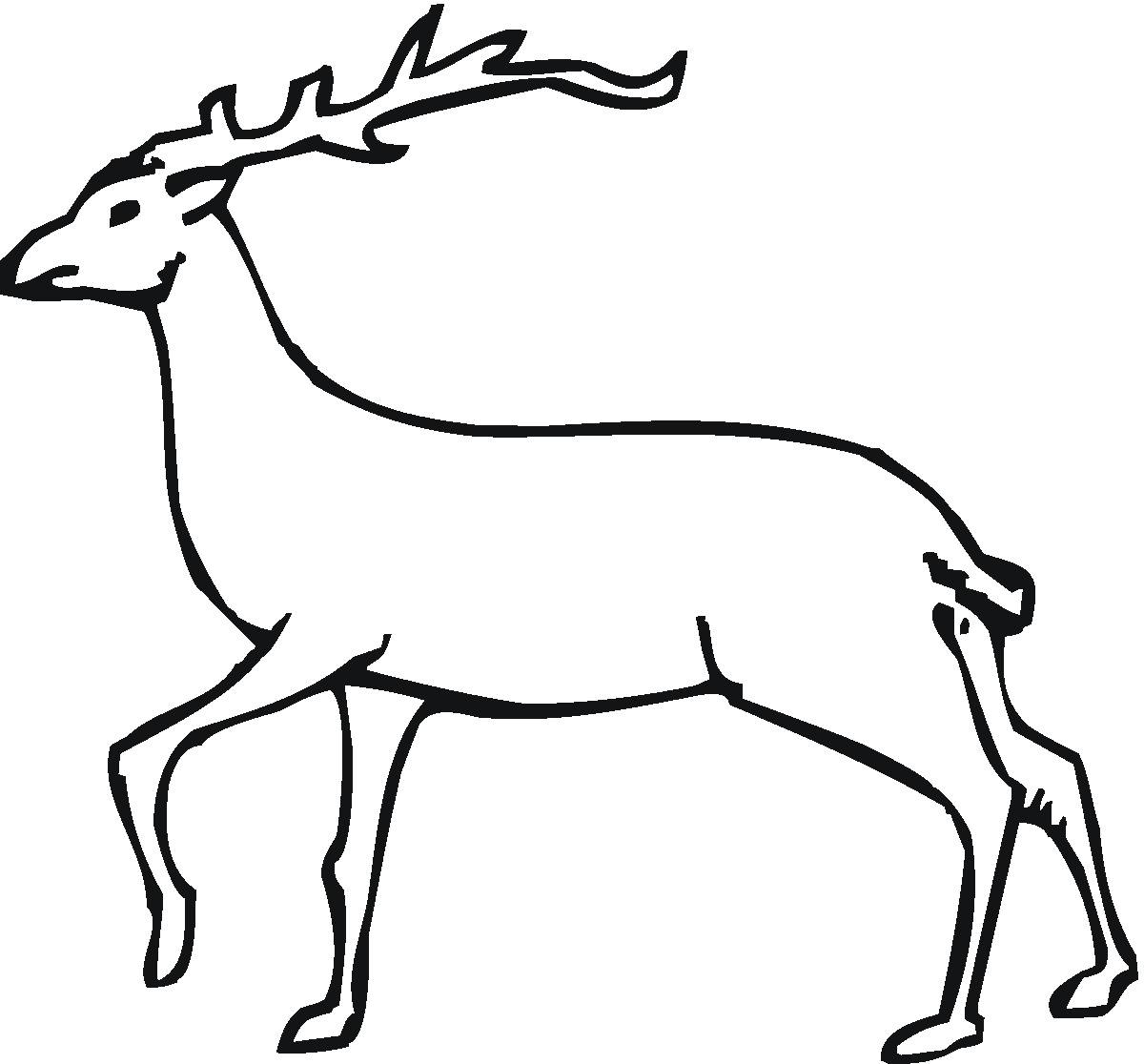 Coloriage d'un chevreuil paisible dans son habitat naturel