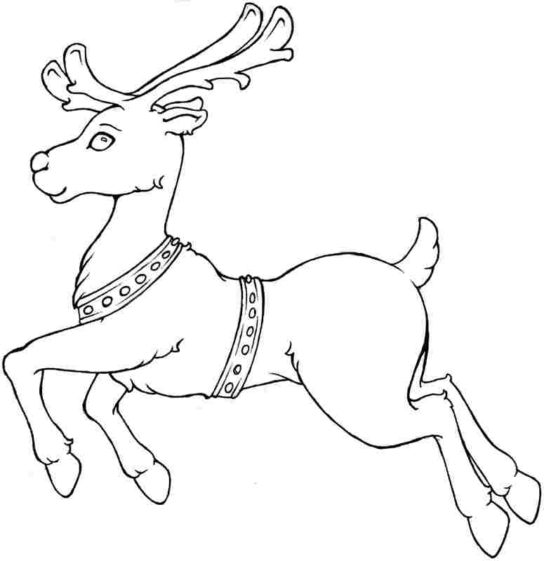 Coloriage d'un chevreuil dans son habitat naturel