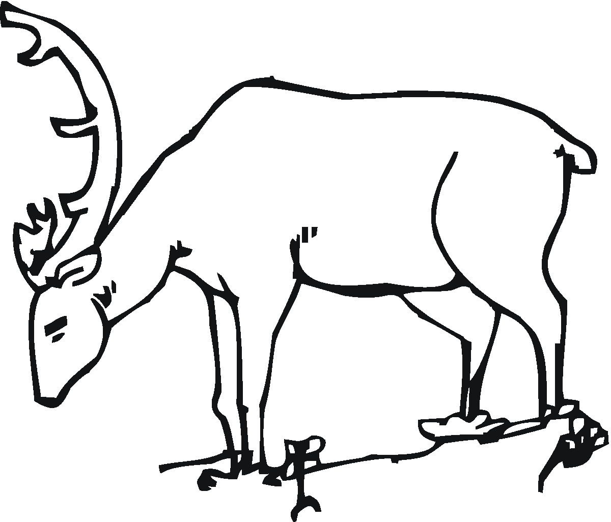 Coloriage d'un chevreuil dans une forêt paisible