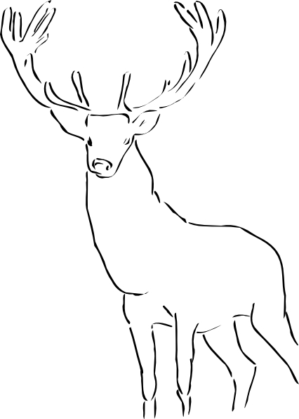 Coloriage d'un chevreuil dans un environnement naturel