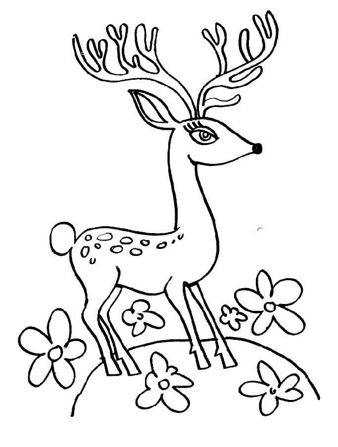 Coloriage d'un chevreuil paisible dans son habitat naturel